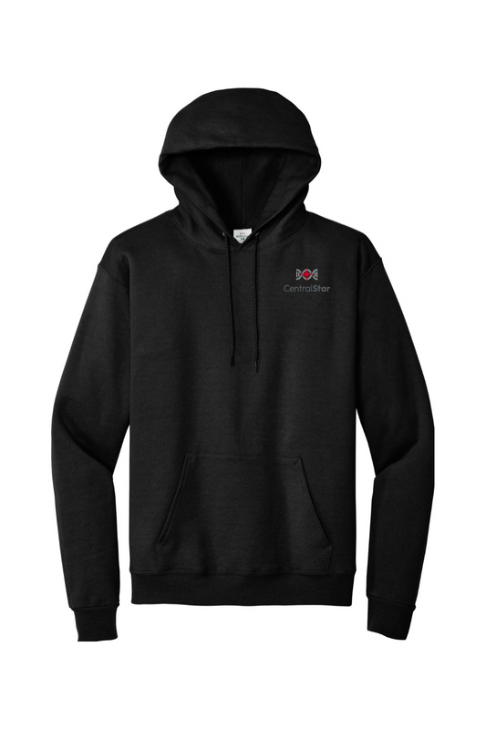 Hanes EcoSmart - Pullover Hooded Sweatshirt